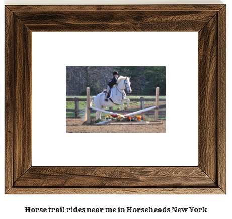 horse trail rides near me in Horseheads, New York